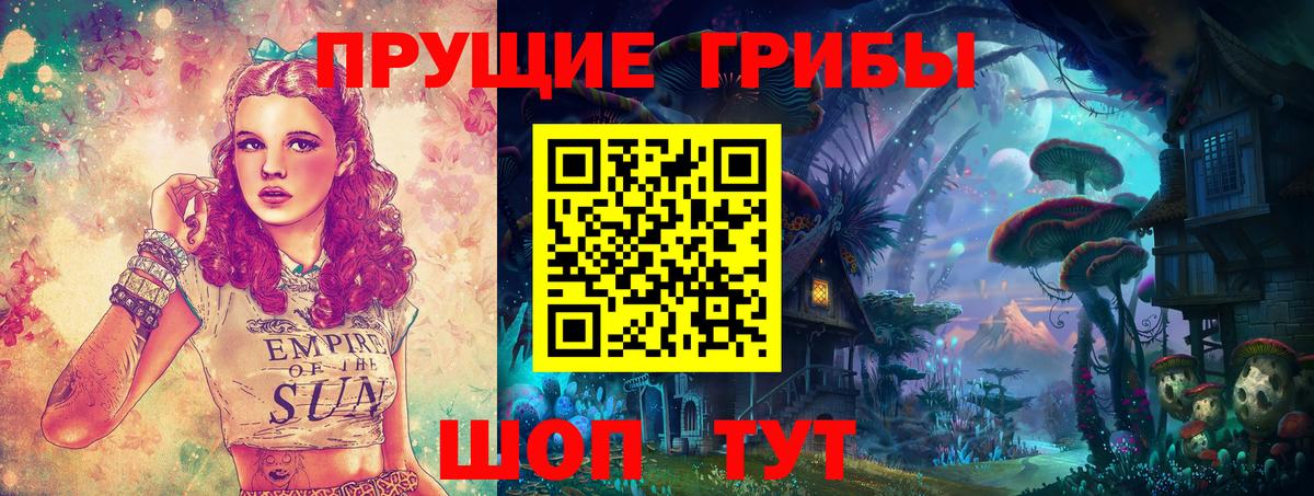 Псилоцибиновые грибы GOLDEN TEACHER  Вход с VPN  Жуковский 