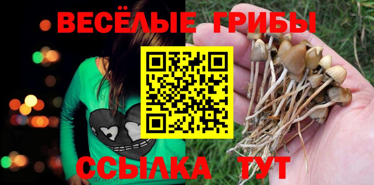 Галлюциногенные грибы Magic Shrooms Жуковский